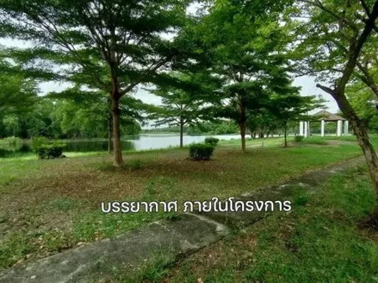 ขายที่ดิน โครงการคันทรีการ์เด้น คลองสาม ถเลียบคลองสาม-ปทุมธ