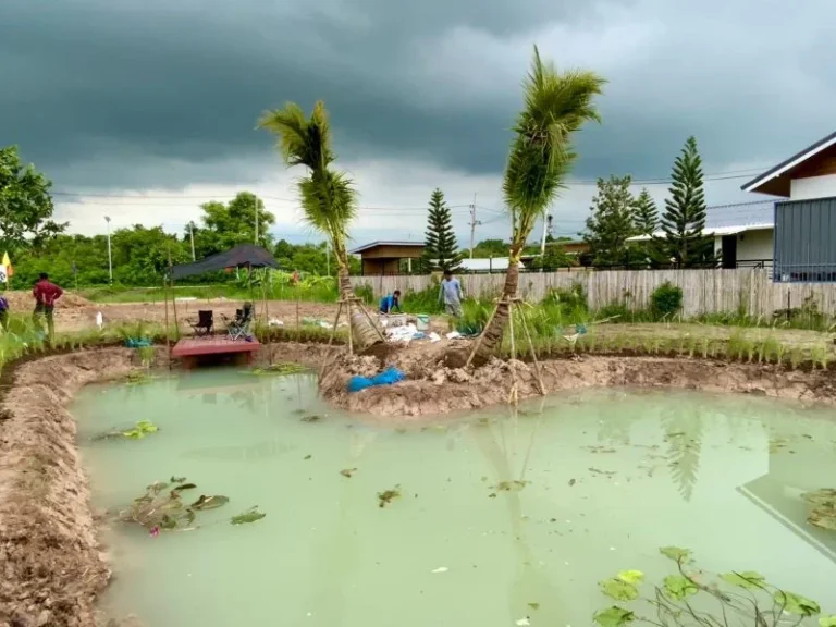 ขายที่ดินบ้านสวนชมนาวิลล์ คลอง23 เนื้อที่ 200 ตรว องครักษ์