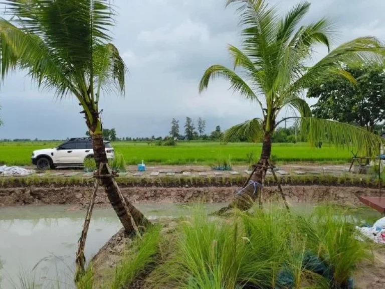 ขายที่ดินบ้านสวนชมนาวิลล์ คลอง23 เนื้อที่ 200 ตรว องครักษ์