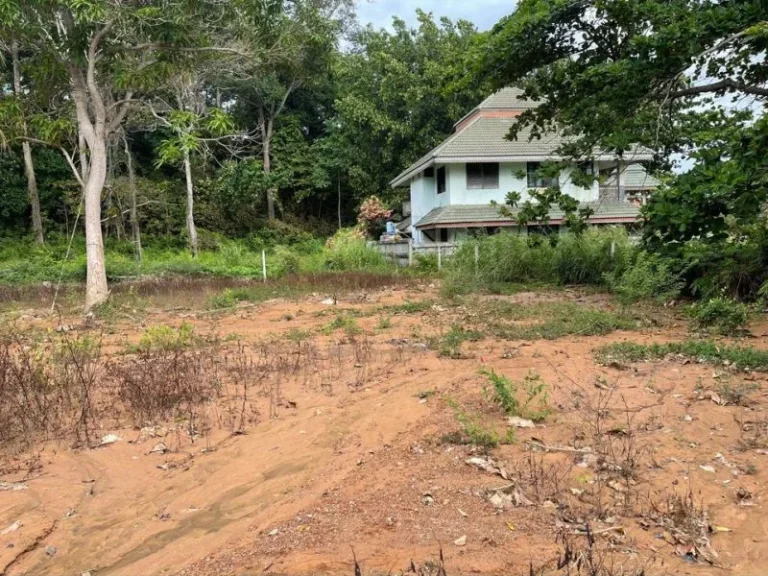 ขายที่ดินบ้านกร่ำเนื้อที่ 57 ตรว ติดหาดแหลมแม่พิมพ์เดินเพีย