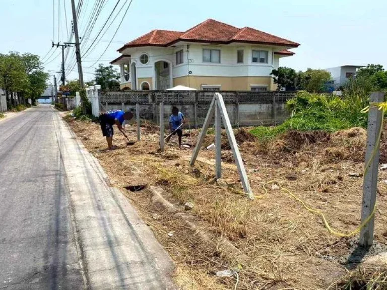 ให้เช่าที่ดิน ซอยแบริ่ง 30 ถนนสุขุมวิท 107 ตำบลสำโรงเหนือ