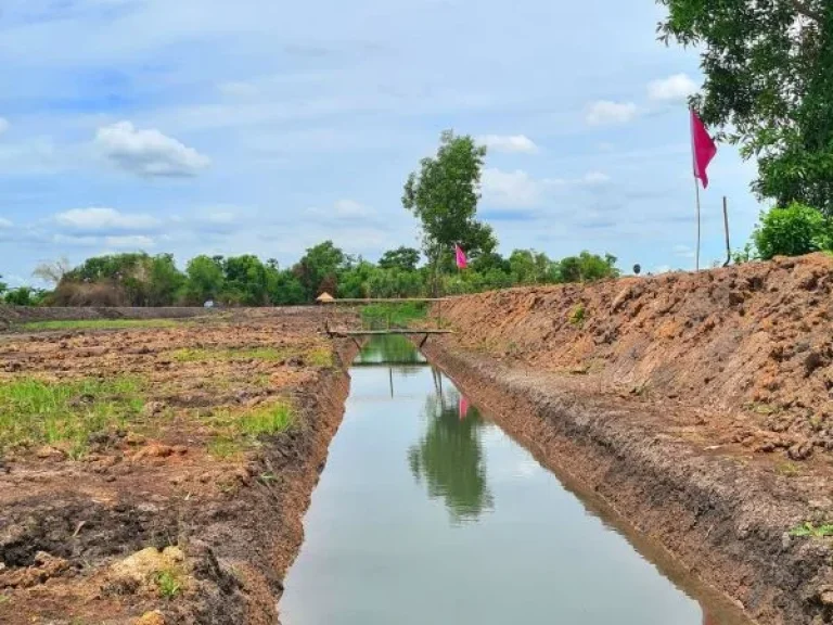 ขายที่ดิน 200 ตรว The lake view Nakhon Nayok ตท่าช้าง