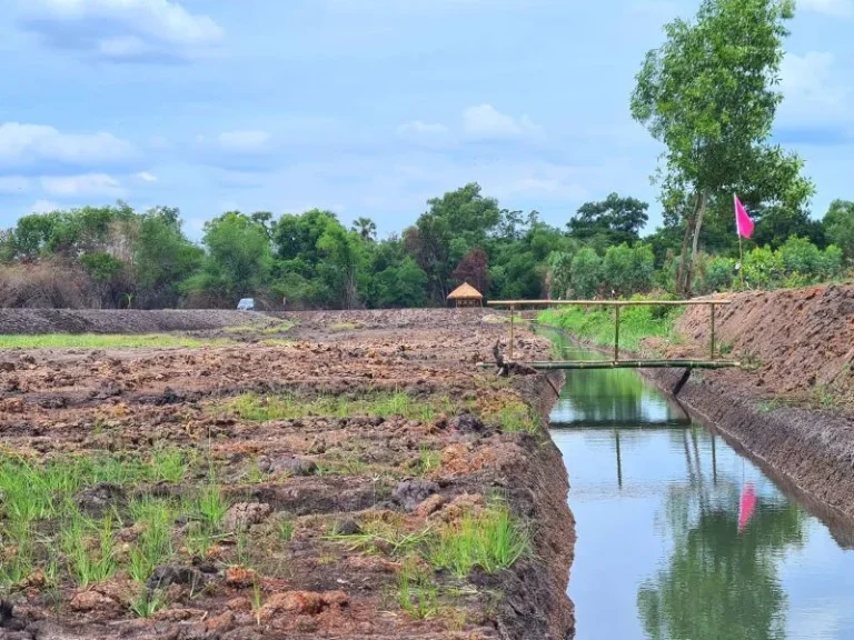 ขายที่ดิน 200 ตรว The lake view Nakhon Nayok ตท่าช้าง