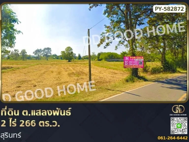 ที่ดิน ตแสลงพันธ์ 2 ไร่ 266 ตรว สุรินทร์