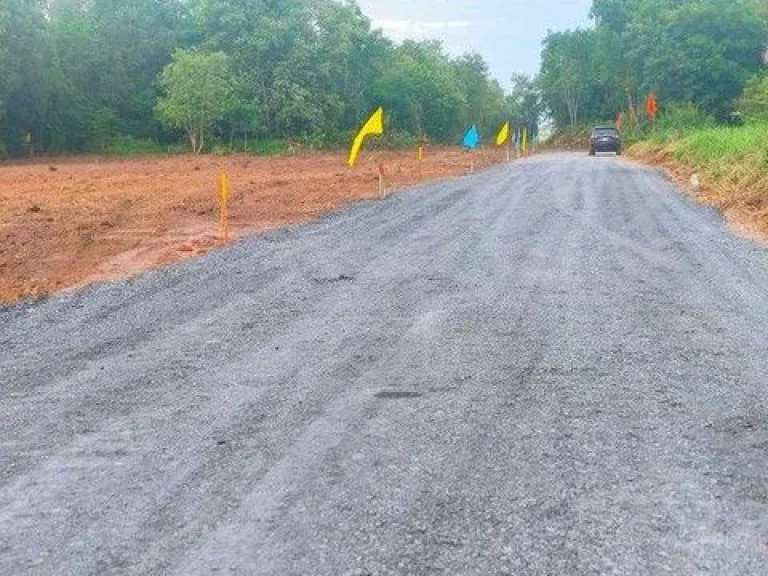 ขายที่ดินคลองห้า คลองหลวง น้ำไฟพร้อม ถมแล้ว