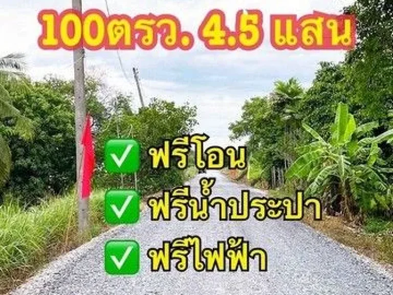 ขายที่ดินคลองหก ซอย 122 ฟรีค่าเดินน้ำประปาและไฟฟ้า ขนาด 100