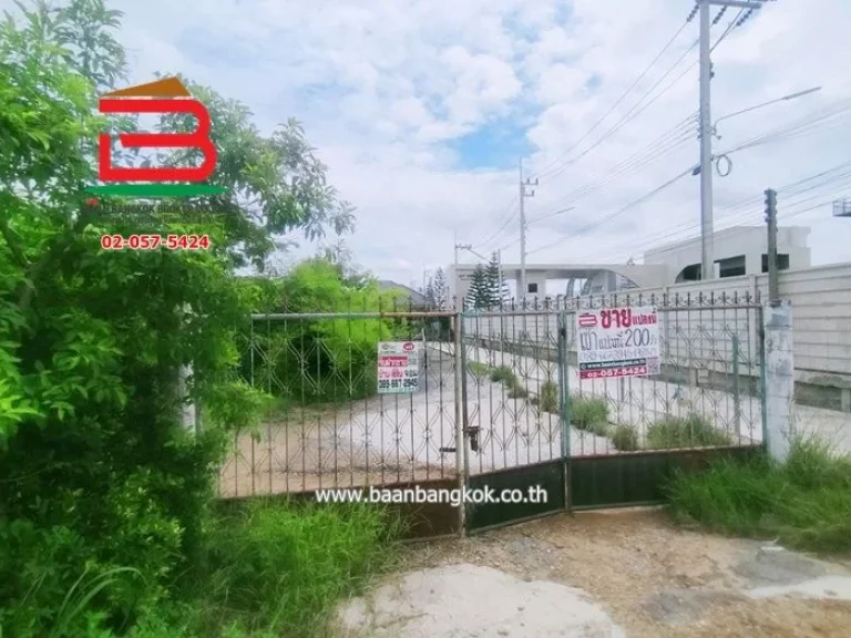 ที่ดิน เนื้อที่ 200 ตรว ติดถนนสุขประยูร ตหนองบัว