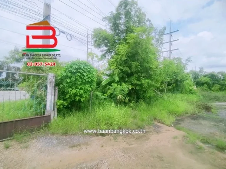 ที่ดิน เนื้อที่ 200 ตรว ติดถนนสุขประยูร ตหนองบัว