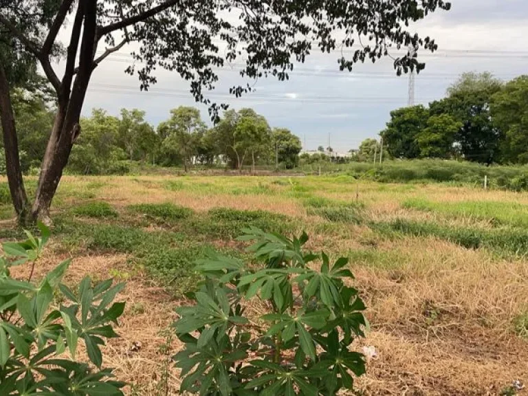 ขายถูก ที่ดินติดคลอง ซอยติวานนท์-ปากเกร็ด 56 ซพระแม่การุณย์