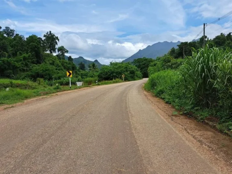 ขายที่ดินติดถนนตำบลเชียงดาวโฉนดพร้อมโอนราคาถูก