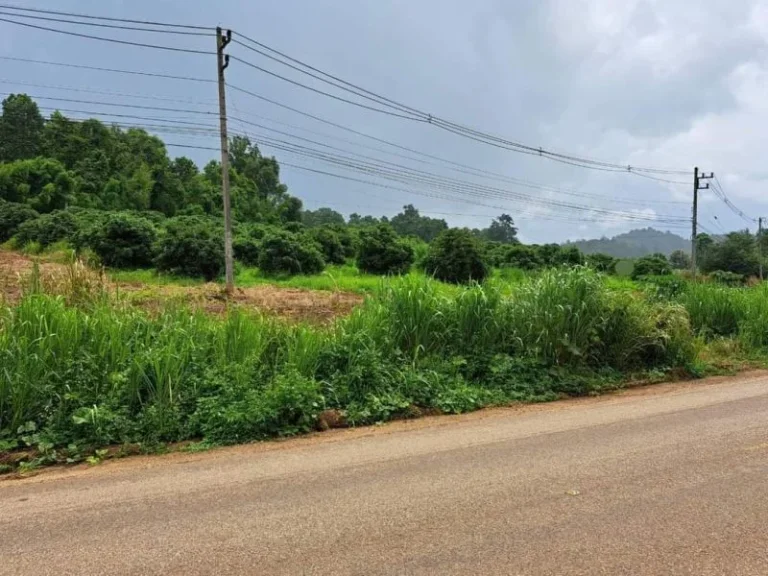 ขายที่ดินติดถนนตำบลเชียงดาวโฉนดพร้อมโอนราคาถูก