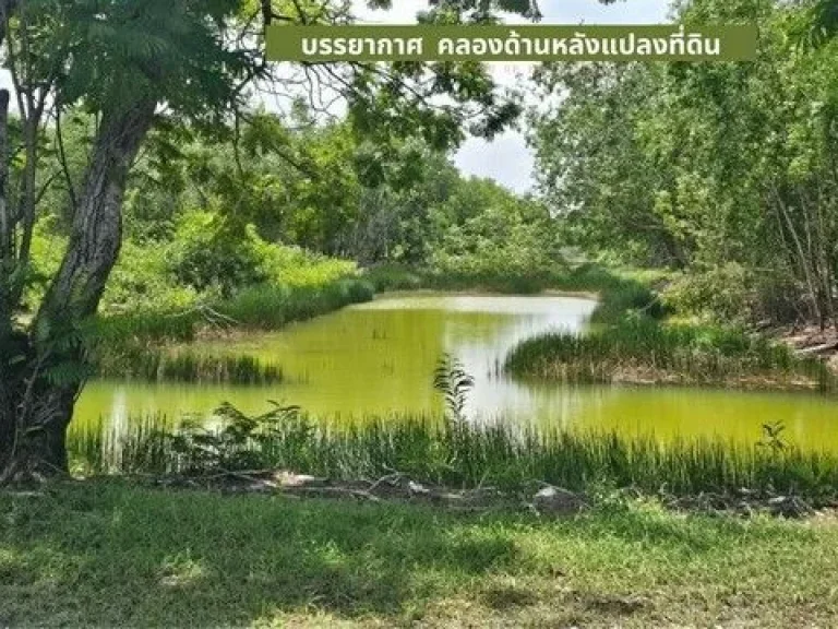 ขายที่ดินถมแล้ว 2-0-10 ไร่ ด้านหลังแปลงติดวิวน้ำสวยโครงการคั