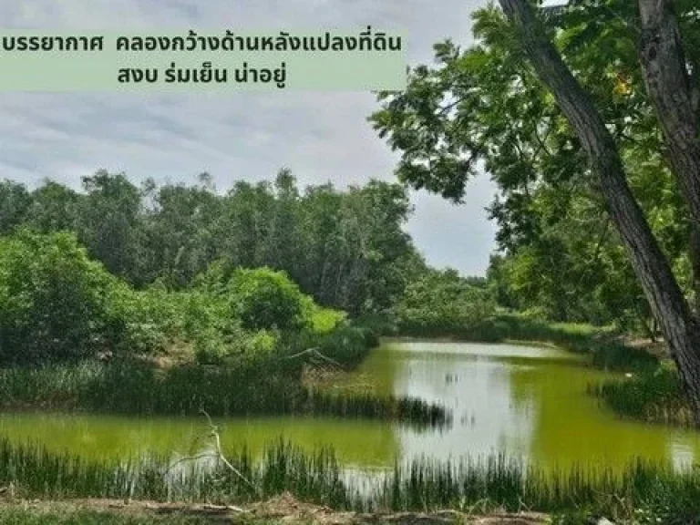 ขายที่ดินถมแล้ว 2-0-10 ไร่ ด้านหลังแปลงติดวิวน้ำสวยโครงการคั