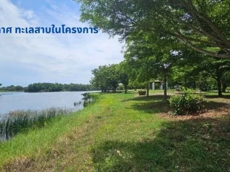 ขายที่ดินถมแล้ว 2-0-10 ไร่ ด้านหลังแปลงติดวิวน้ำสวยโครงการคั