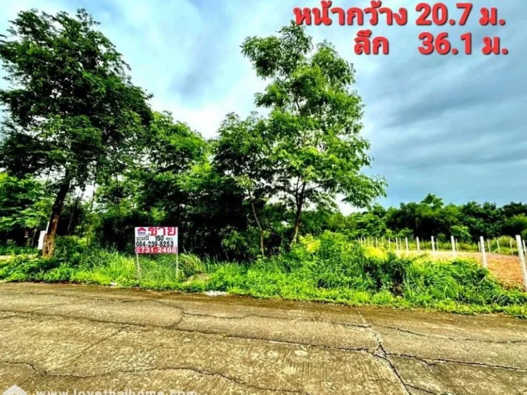 ขายที่ดิน ซอยลำลูกกา 196 ถนนประชาสำราญ หนองจอก แปลงมุม 150