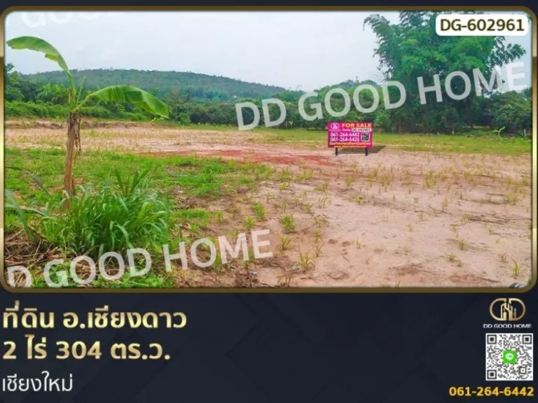 ที่ดิน อเชียงดาว 2 ไร่ 304 ตรว เชียงใหม่