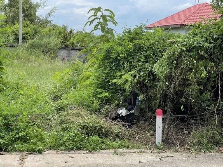 ที่ดิน บ้านสวนศรีปทุม คลอง11 อหนองเสือ จปทุมธานี