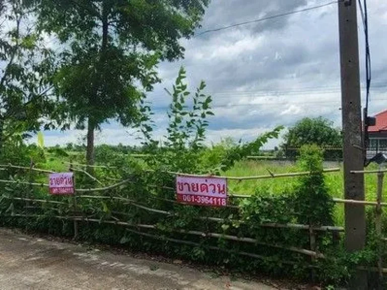 ที่ดิน บ้านสวนศรีปทุม คลอง11 อหนองเสือ จปทุมธานี