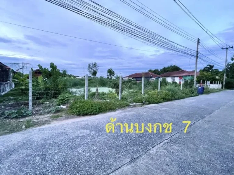 ขายที่ดิน 1 ไร่ ซอยบงกช 5 คลองสอง คลองหลวง ปทุมธานี