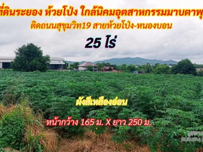 ขายที่ดินระยอง ห้วยโป่ง 25 ไร่ ติดถนนสุขุมวิท 19