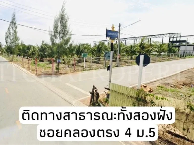 ที่ดิน 10 ไร่ อเมือง สมุทรสงคราม ใกล้ถนนพระราม 2