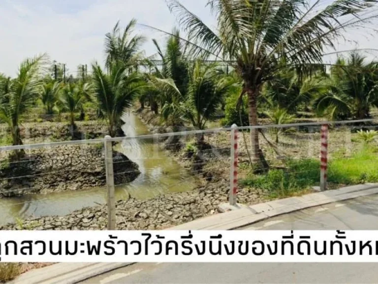 ที่ดิน 10 ไร่ อเมือง สมุทรสงคราม ใกล้ถนนพระราม 2