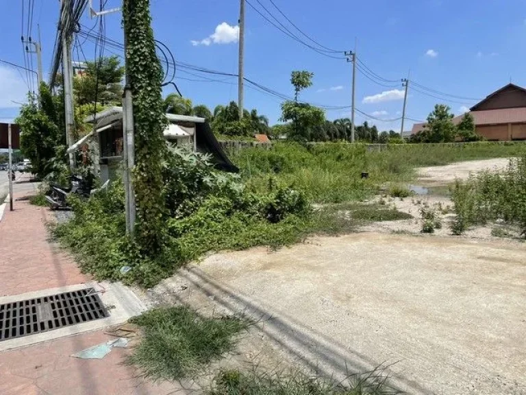 ปล่อยเช่า ที่ดินติดถนน เนื้อที่ 402 ตรว ซอยวัดหลวงพ่อโต