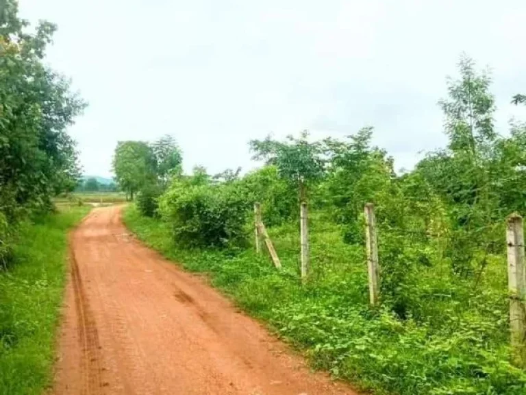 ที่ดินเปล่า ในเขต อเมืองอุตรดิตถ์ ราคาถูก