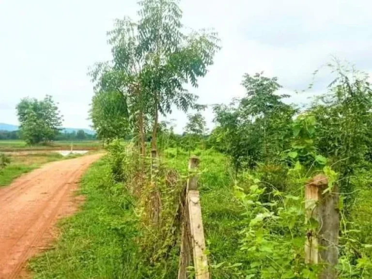 ที่ดินเปล่า ในเขต อเมืองอุตรดิตถ์ ราคาถูก