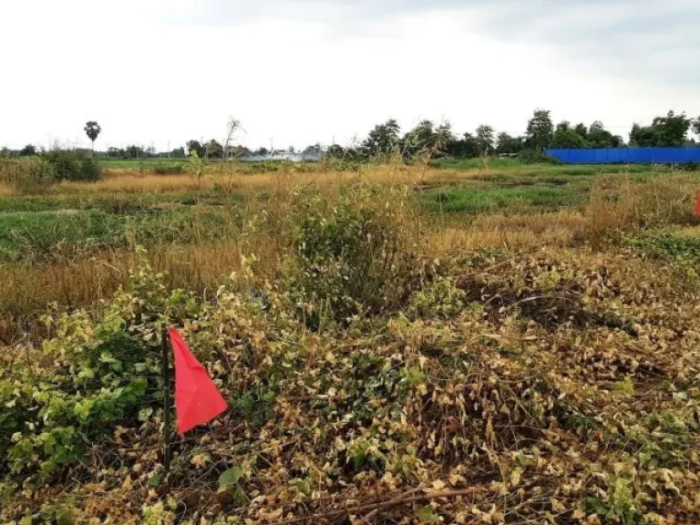 ขายที่ดินบ้านนา โยธาธิการ100 ตรว ผ่อนได้ทนครนายก