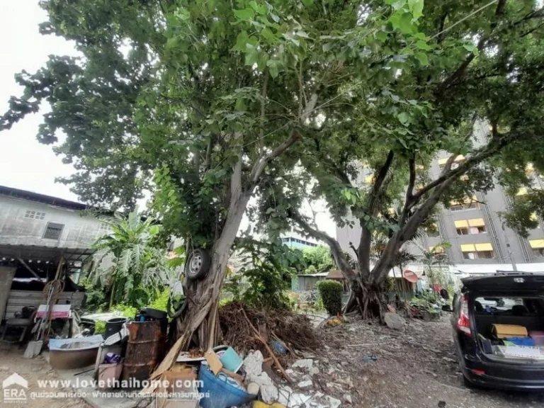 ขายที่ดิน ถพหลโยธิน คลองหลวง ปทุมธานี ตรงข้าม มธรรมศาสตร์