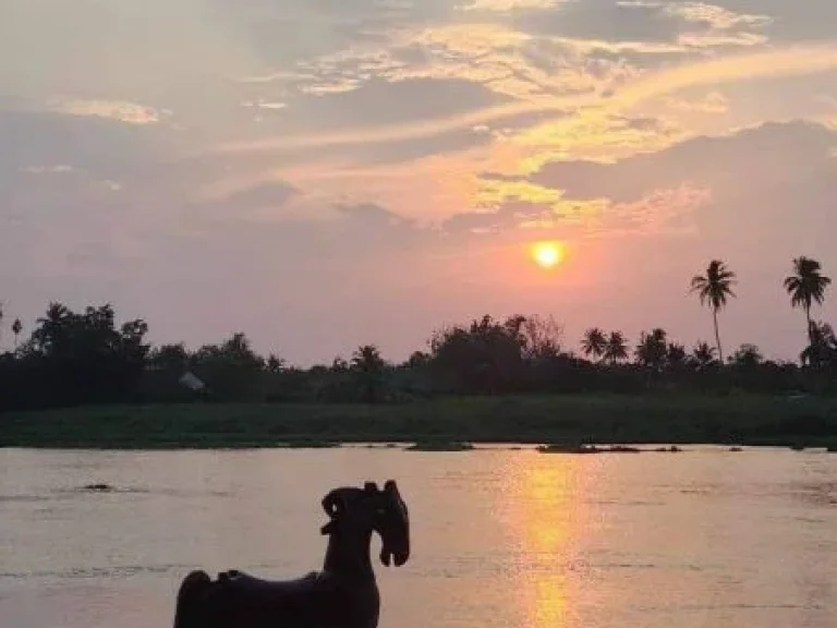 ขายที่ดินริมน้ำสามพราน ที่ดินพร้อมบ้านริมแม่น้ำท่าจีน สามพราน