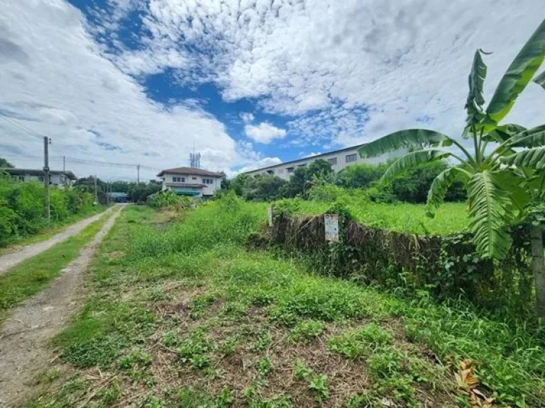 ขายที่ดิน ย่านปากเกร็ด ถนนสุขาประชาสรรค์3 พื้นที่ 200 ตรว