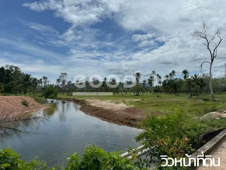 ขายที่ดินโคกกลอยตะกั่วทุ่งพังงา ที่ดินติดทางลงหาดนาใต้