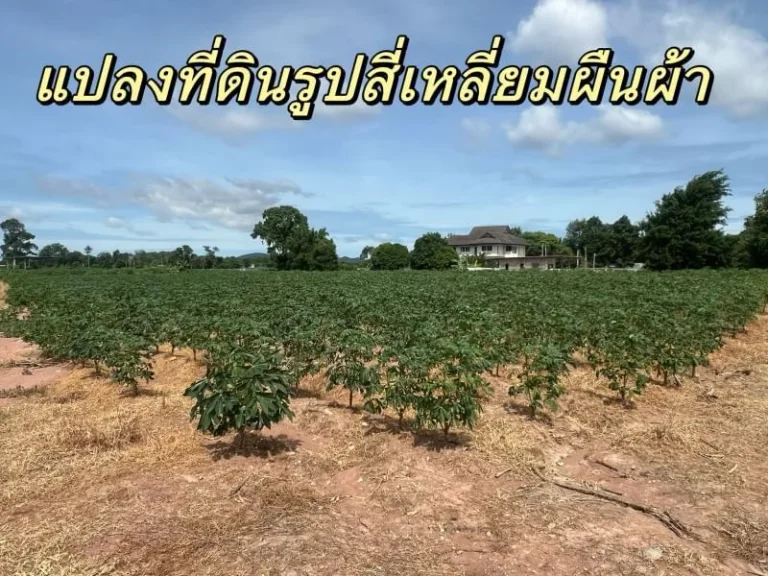 L23458 ที่ดินทำเลดีในเมืองศรีราชาเนื้อที่ 3 ไร่ 3 งาน 51