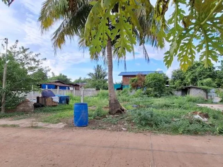 ขายที่ดินเปล่า ติดถนน ศรีสัชนาลัย สุโขทัย