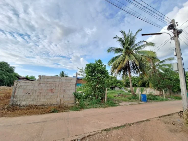 ขายที่ดินเปล่า ติดถนน ศรีสัชนาลัย สุโขทัย