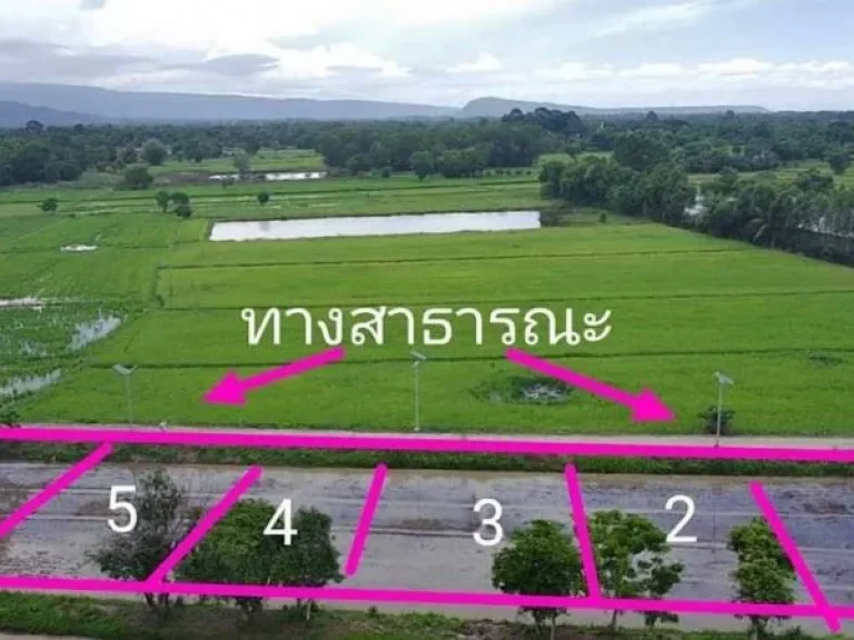 ขายที่ดินบ้านใหญ่ เนื้อที่ 126 ตรวติดถนนคอนกรีต วิวเขาใหญ่