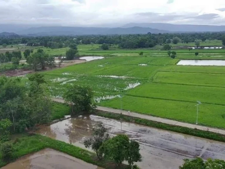 ขายที่ดินบ้านใหญ่ เนื้อที่ 126 ตรวติดถนนคอนกรีต วิวเขาใหญ่