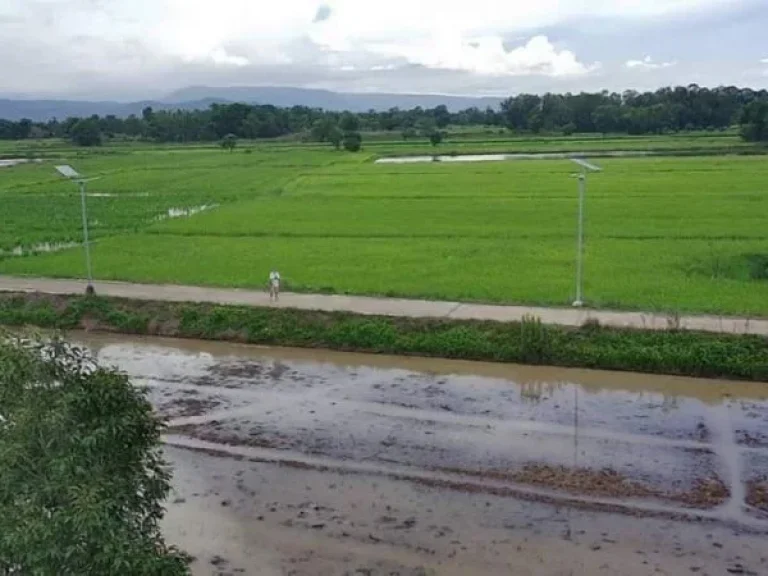 ขายที่ดินบ้านใหญ่ เนื้อที่ 126 ตรวติดถนนคอนกรีต วิวเขาใหญ่