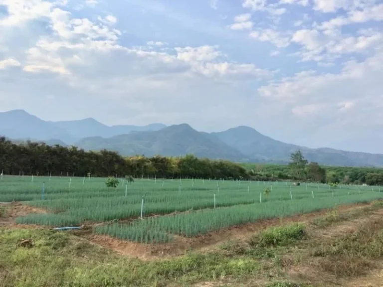 ขายที่ดินพร้อมบ้านพักคนงานติดลำธารวิวดอยอำเภอฝางเชียงใหม่