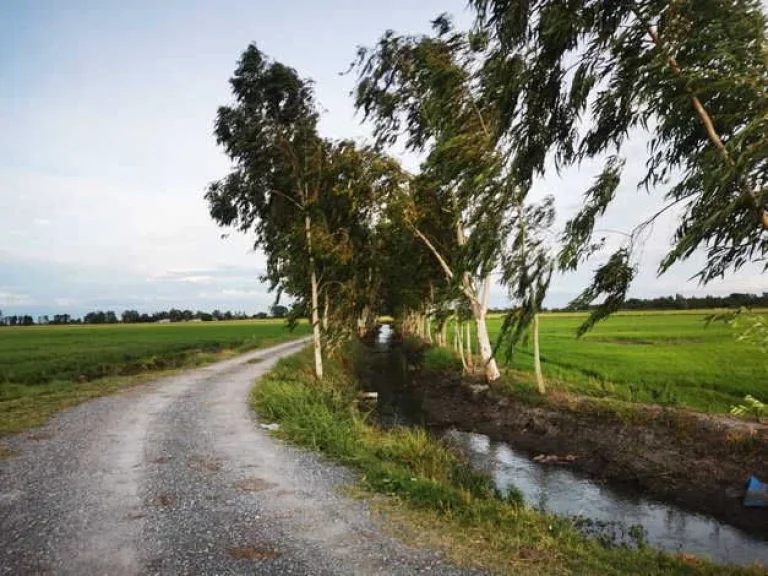 ขายที่ดิน พร้อมสิ่งปลูกสร้าง ตหนองโอ่ง ออู่ทอง จสุพรรณบุรี