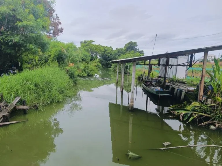 ขายที่ดิน ประชาอุทิศ 76 3 ไร่ เพียง ตรว ละ 20000