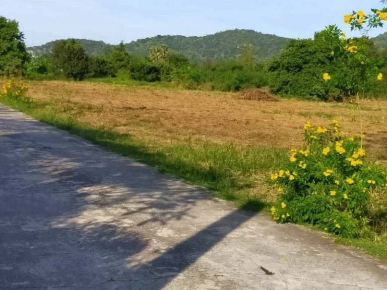 สวยและถูกที่สุดในย่านนี้ ที่ดิน8ไร่ วิวภูเขา ติดถนน2ด้าน