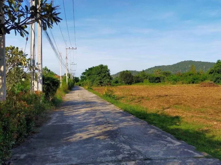 สวยและถูกที่สุดในย่านนี้ ที่ดิน8ไร่ วิวภูเขา ติดถนน2ด้าน