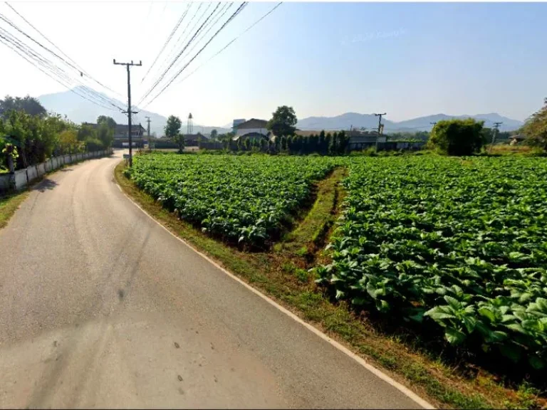 ขายที่ดินใกล้ โรงพยาบาลแม่ออน สันกำแพง ติดถนนดำ เนื้อที่ 5