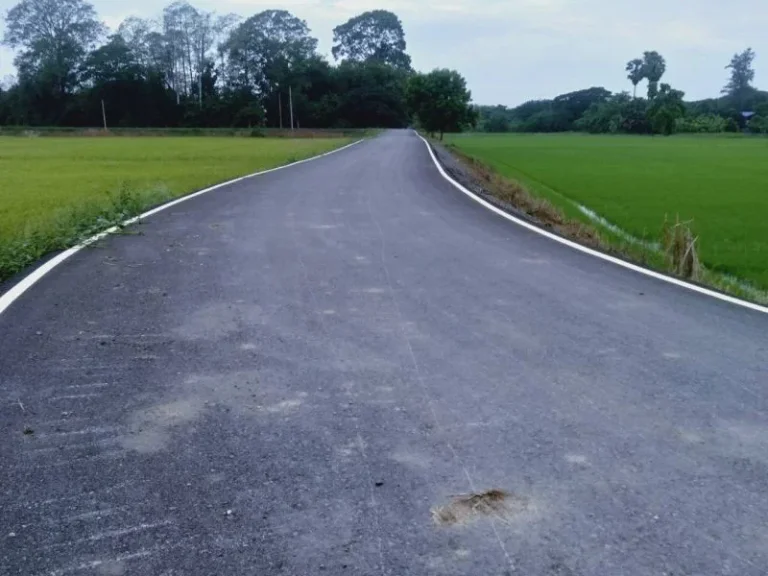 ที่ดินชัยนาท ที่ดินติดแม่น้ำท่าจีน ตำบลมะขามเฒ่า