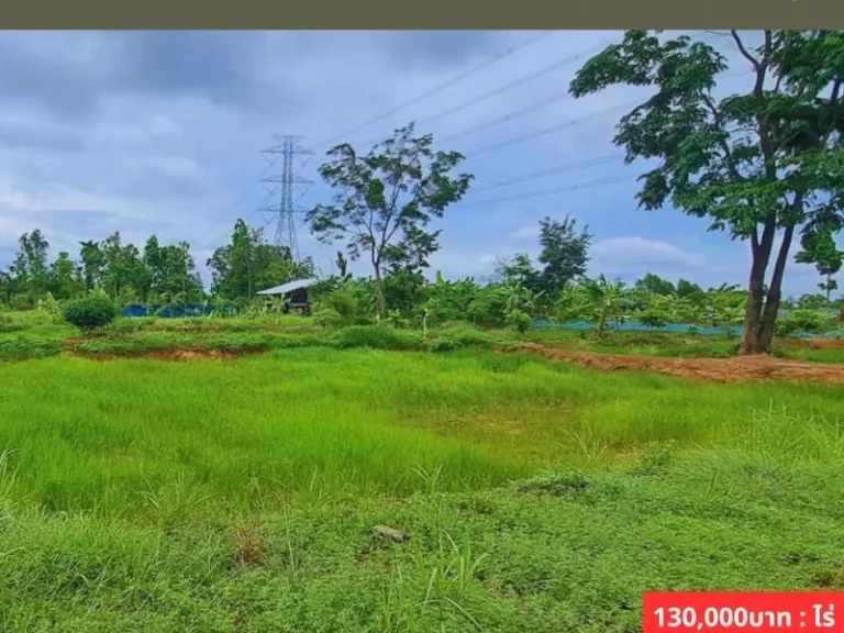 ขายที่ดินใกล้เสาไฟแรงสูง เหมาะสำหรับทำ Solar Farm