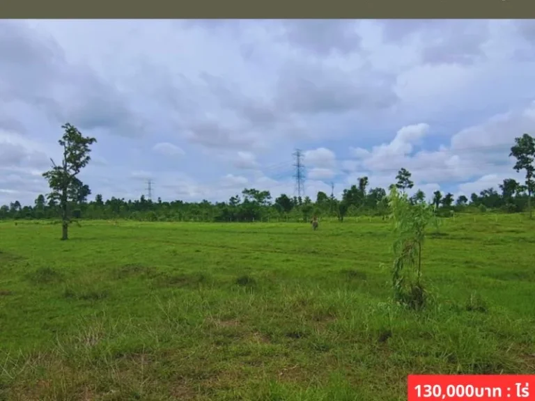 ขายที่ดินใกล้เสาไฟแรงสูง เหมาะสำหรับทำ Solar Farm