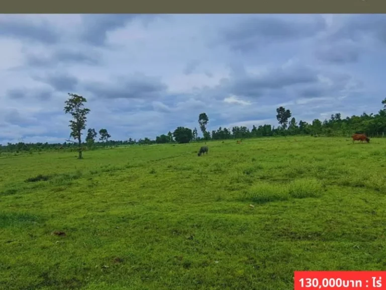 ขายที่ดินใกล้เสาไฟแรงสูง เหมาะสำหรับทำ Solar Farm